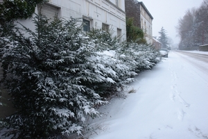 DSC01754