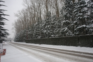 DSC01770