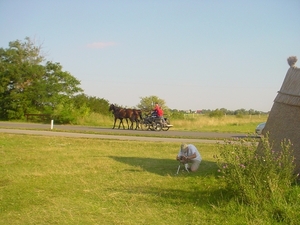 zomerreis (527)