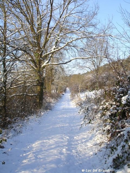 Ardennen wandeling Adeps Romedenne