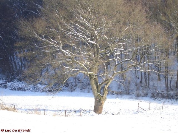 Ardennen wandeling Adeps Romedenne