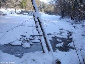 2009_12_19 Romedenne 028  Bois de Marmont