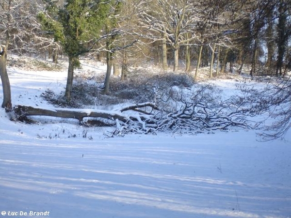 Ardennen wandeling Adeps Romedenne