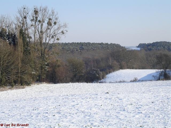 Ardennen wandeling Adeps Romedenne