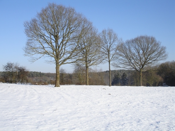 Ardennen wandeling Adeps Romedenne