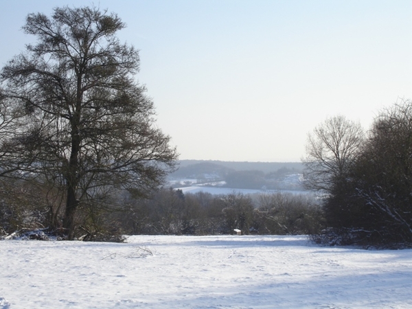 Ardennen wandeling Adeps Romedenne