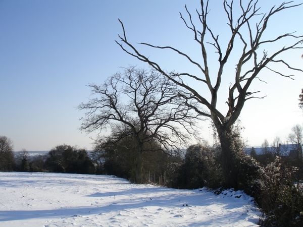 Ardennen wandeling Adeps Romedenne