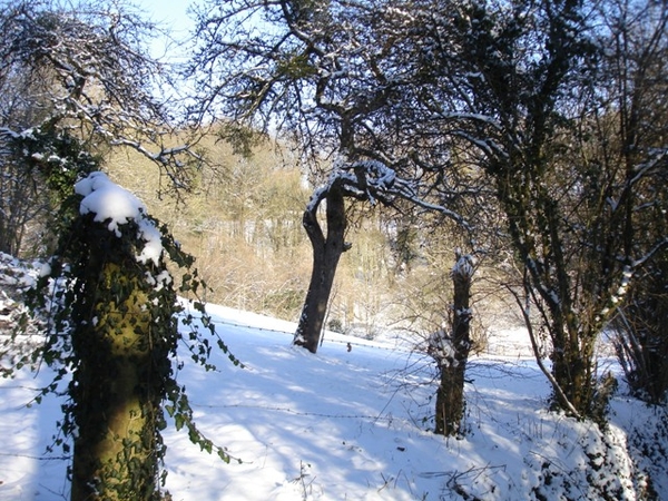 Ardennen wandeling Adeps Romedenne