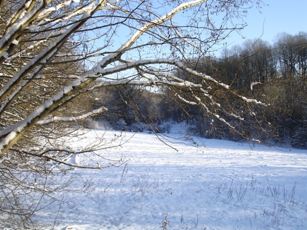 Ardennen wandeling Adeps Romedenne