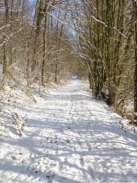 Ardennen wandeling Adeps Romedenne