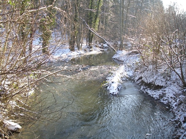 Ardennen wandeling Adeps Romedenne