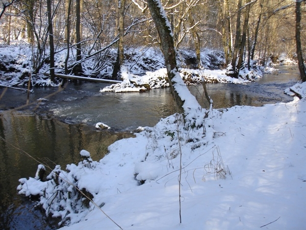 Ardennen wandeling Adeps Romedenne