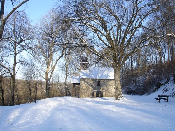 Ardennen wandeling Adeps Romedenne