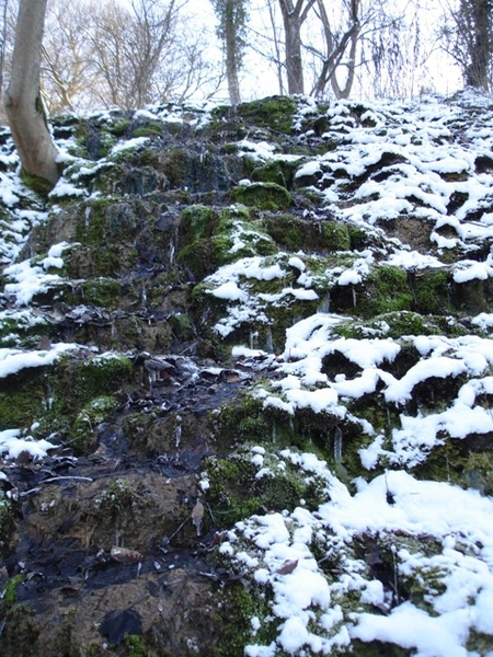 Ardennen wandeling Adeps Romedenne