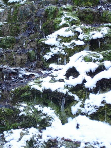 Ardennen wandeling Adeps Romedenne