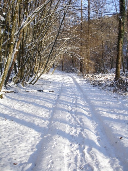 Ardennen wandeling Adeps Romedenne