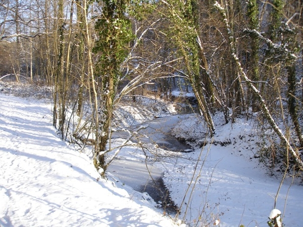 Ardennen wandeling Adeps Romedenne