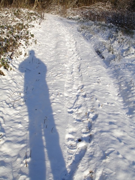 Ardennen wandeling Adeps Romedenne