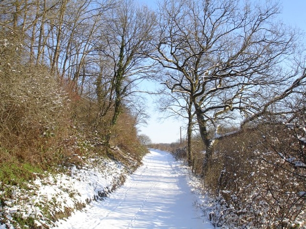 Ardennen wandeling Adeps Romedenne