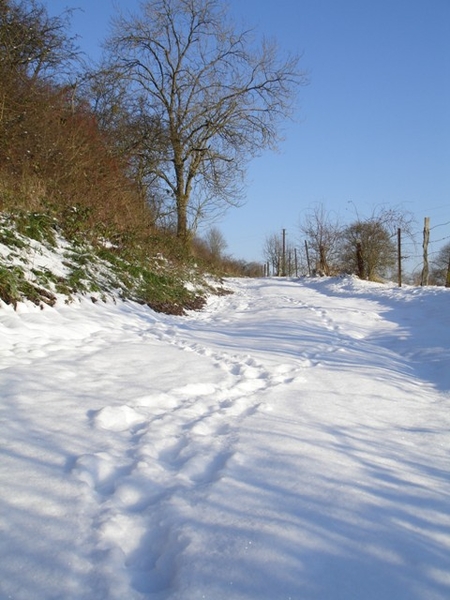 Ardennen wandeling Adeps Romedenne