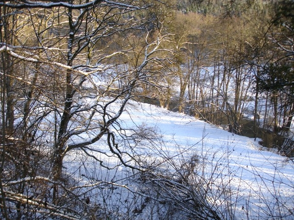 Ardennen wandeling Adeps Romedenne