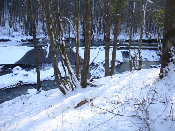 Ardennen wandeling Adeps Romedenne