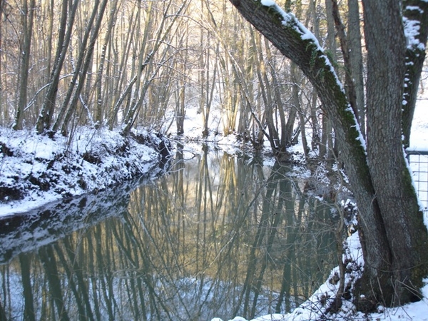 Ardennen wandeling Adeps Romedenne