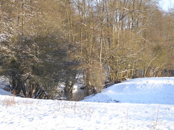 Ardennen wandeling Adeps Romedenne