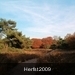 HPIM1752