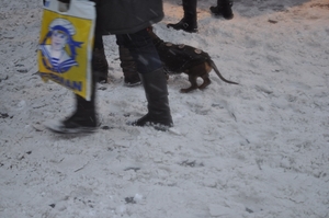 kerstmarkt hond met kleedje 2