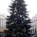 KERSTBOOM OP DE GROTE MARKT