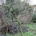 P1040399