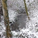 P1040610