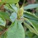 P1040651
