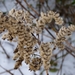 P1040658