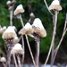 P1040676