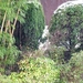 P1040691