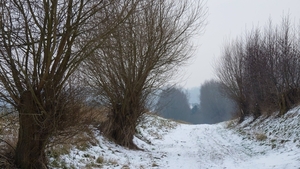 P1040695