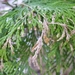 P1040725