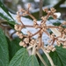 P1040728