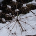 P1040738