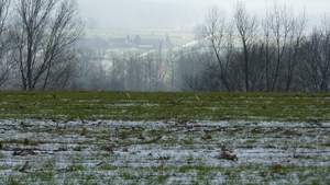 P1040802