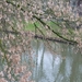 P1040840