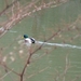 P1040850