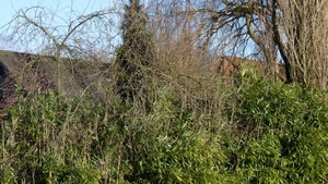 P1040900