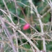 P1040940