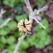P1040942