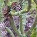P1040948