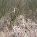 P1040976