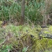 P1040979